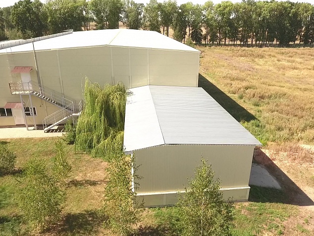 Продажа, Экосистема в Борисовке.