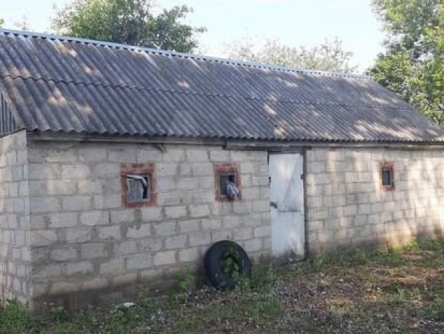 Дом в Новоалександровке 50 сот. Борисовский район