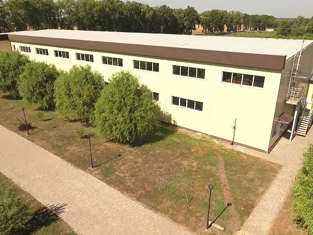 Продажа, Экосистема в Борисовке.